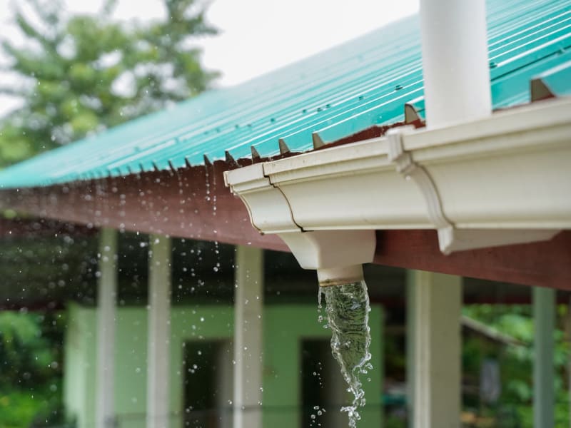 All About Rainwater Harvesting Basics The Dying Art Of Living